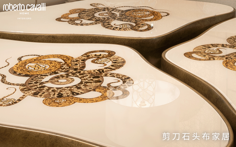 意大利ROBERTO CAVALLI HOME异形几