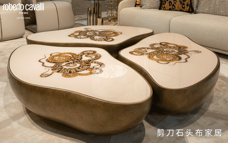 意大利ROBERTO CAVALLI HOME异形几