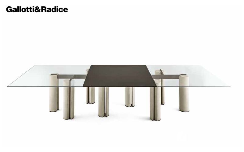 GALLOTTI&RADICE长餐桌/餐椅