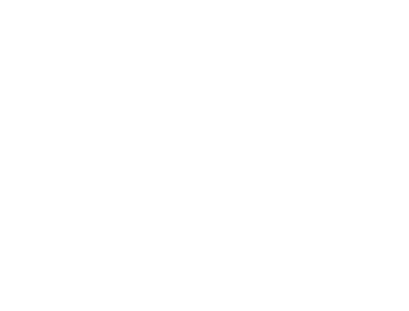 VISIONNAIRE