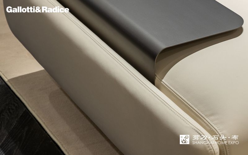 GALLOTTI&RADICE沙发