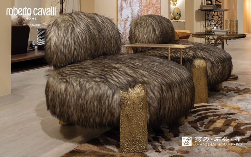ROBERTO CAVALLI HOME休闲椅