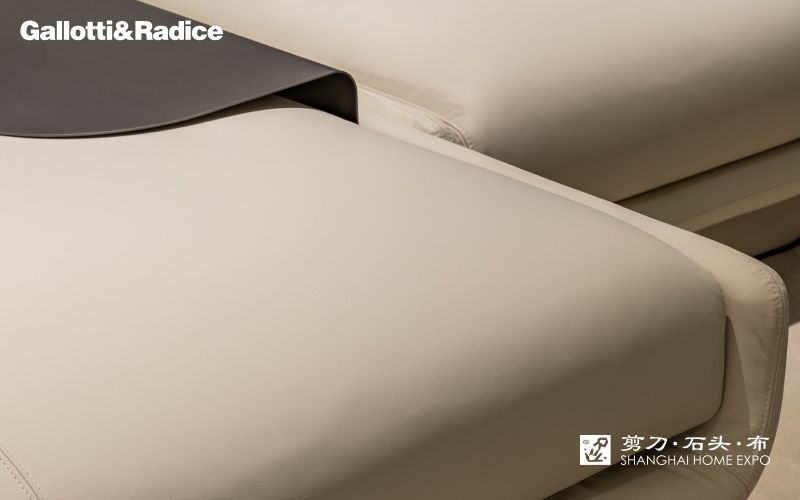 GALLOTTI&RADICE沙发