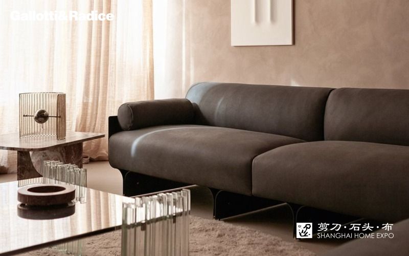 GALLOTTI&RADICE沙发