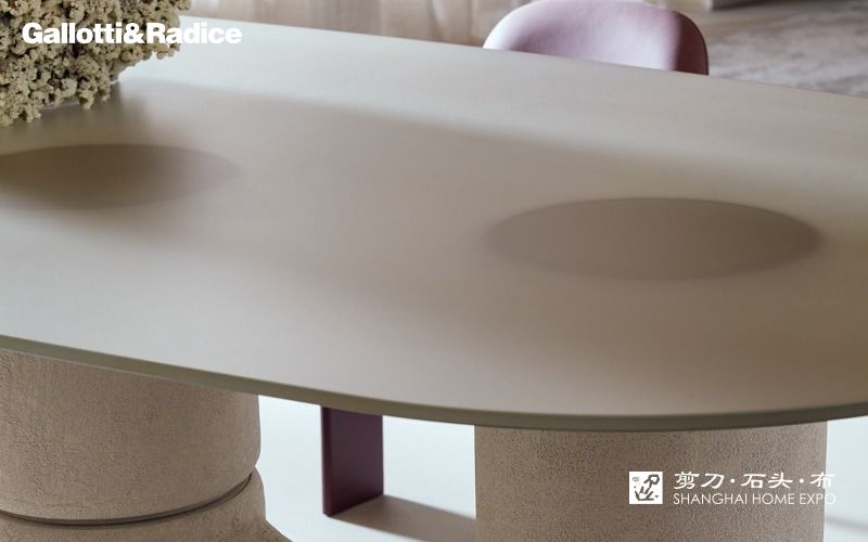 GALLOTTI&RADICE椭圆餐桌/餐椅