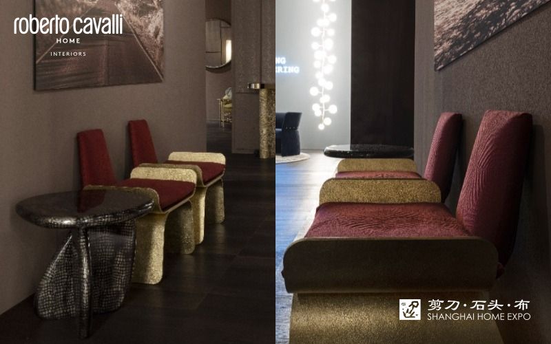 ROBERTO CAVALLI HOME休闲椅