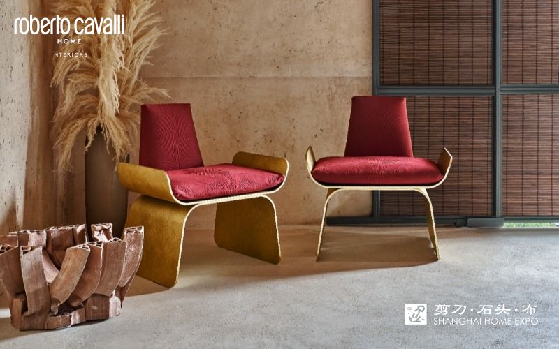 ROBERTO CAVALLI HOME休闲椅