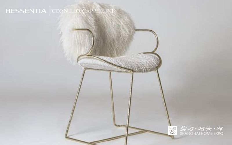 HESSENTIA|CORNELIO CAPPELLINI休闲椅
