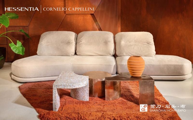 HESSENTIA|CORNELIO CAPPELLINI沙发/异形几
