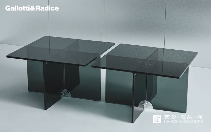 GALLOTTI&RADICE茶几