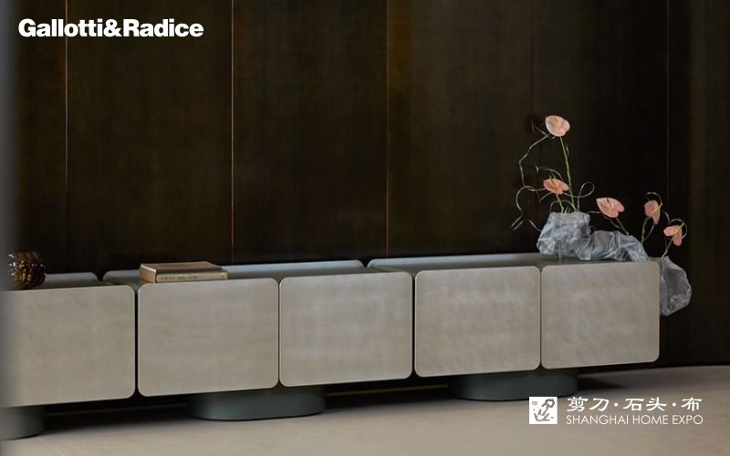 GALLOTTI&RADICE电视柜