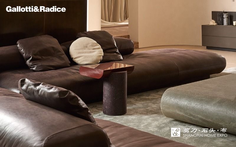 GALLOTTI&RADICE沙发