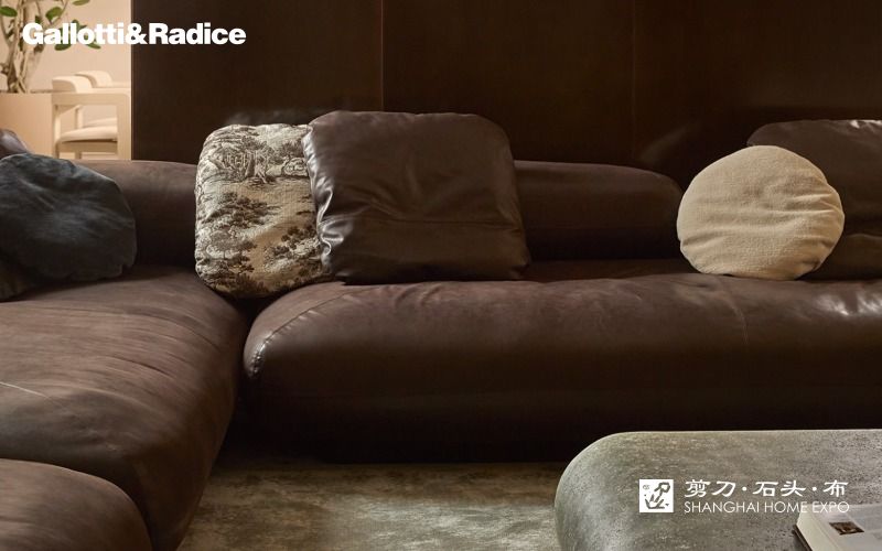 GALLOTTI&RADICE沙发